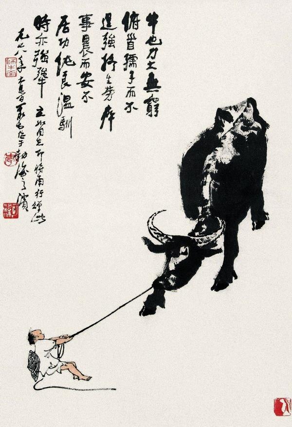 怎样去欣赏一棵罗汉松的美呢,如何欣赏一棵松树盆景呢