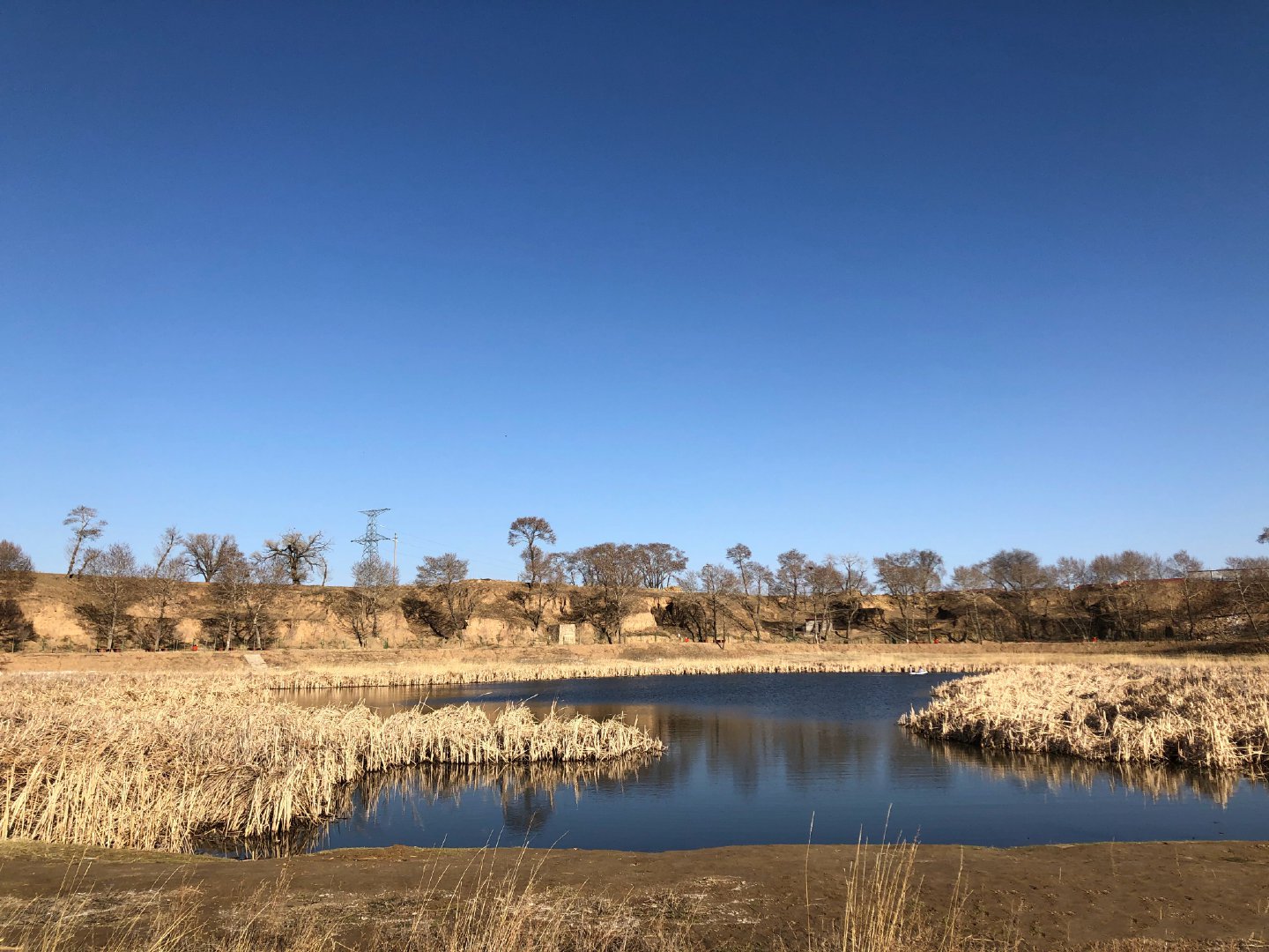 内蒙呼和浩特市内游,五一内蒙古呼和浩特及周边游