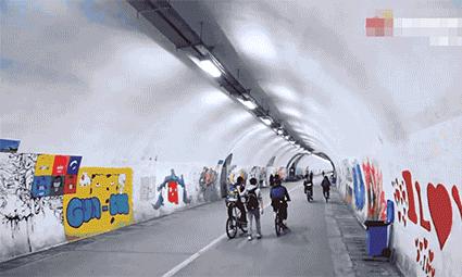 厦门大学宠学生,厦门大学宠学生吗