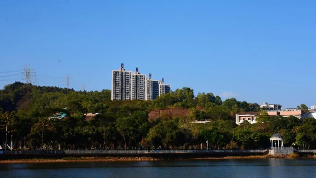 大运绿道跑步路线,大运公园绿道