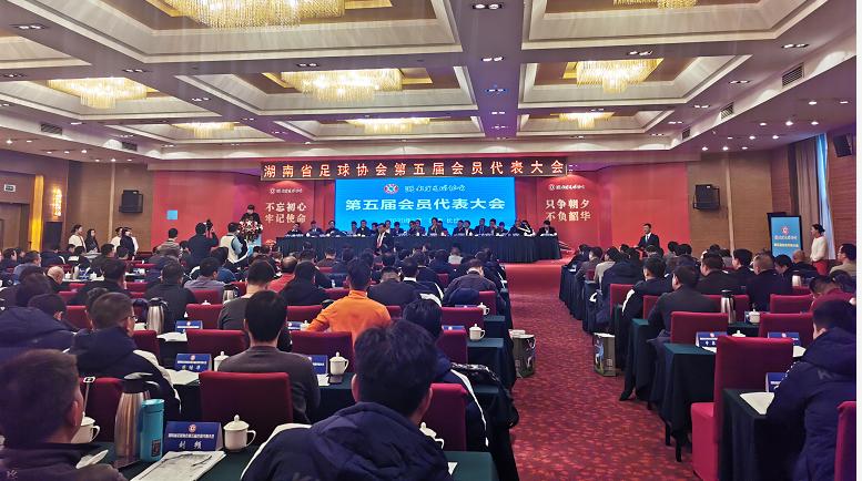 湖南省足协换届｜茵浪董事长王海冰先生当选新任副主席