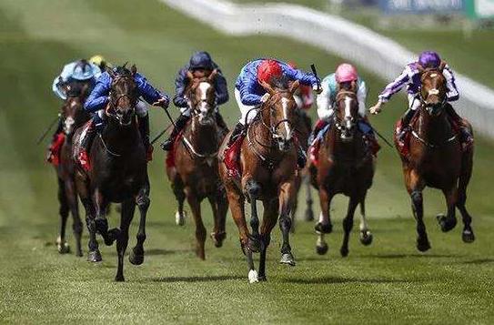 海南赛马业最新规划,2022年海南赛马发展规划