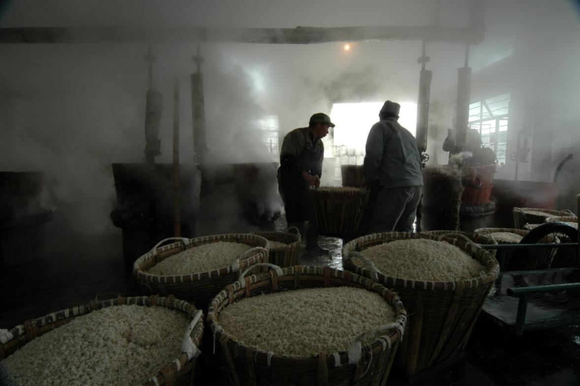 秒懂百科一分钟了解论语,秒懂知识全部视频