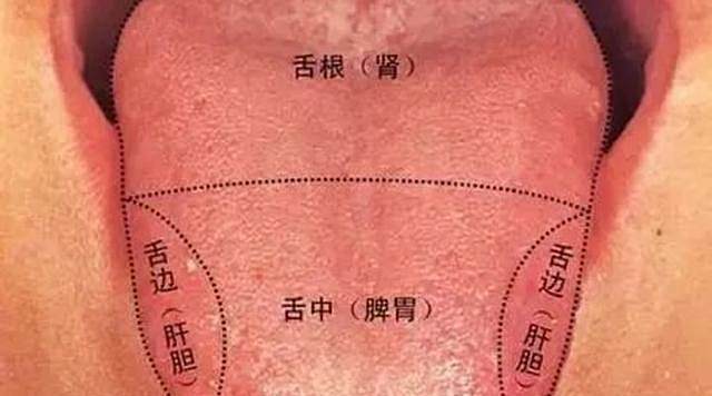 中医经典舌诊和中医全息舌诊区别,中医诊脉很神秘专家教你自诊