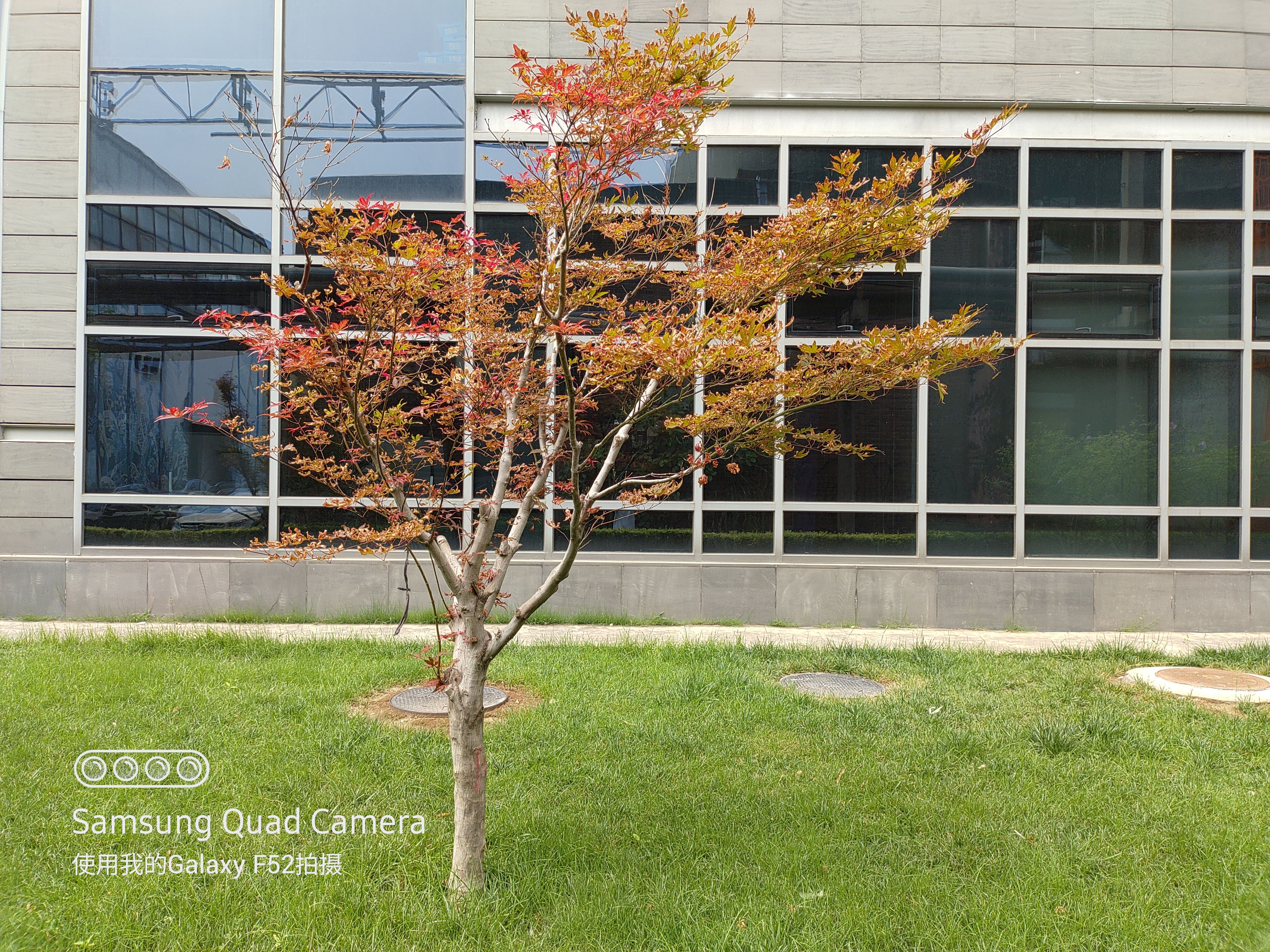 三星galaxyf525g开售,三星galaxyf52官方标配包含哪些