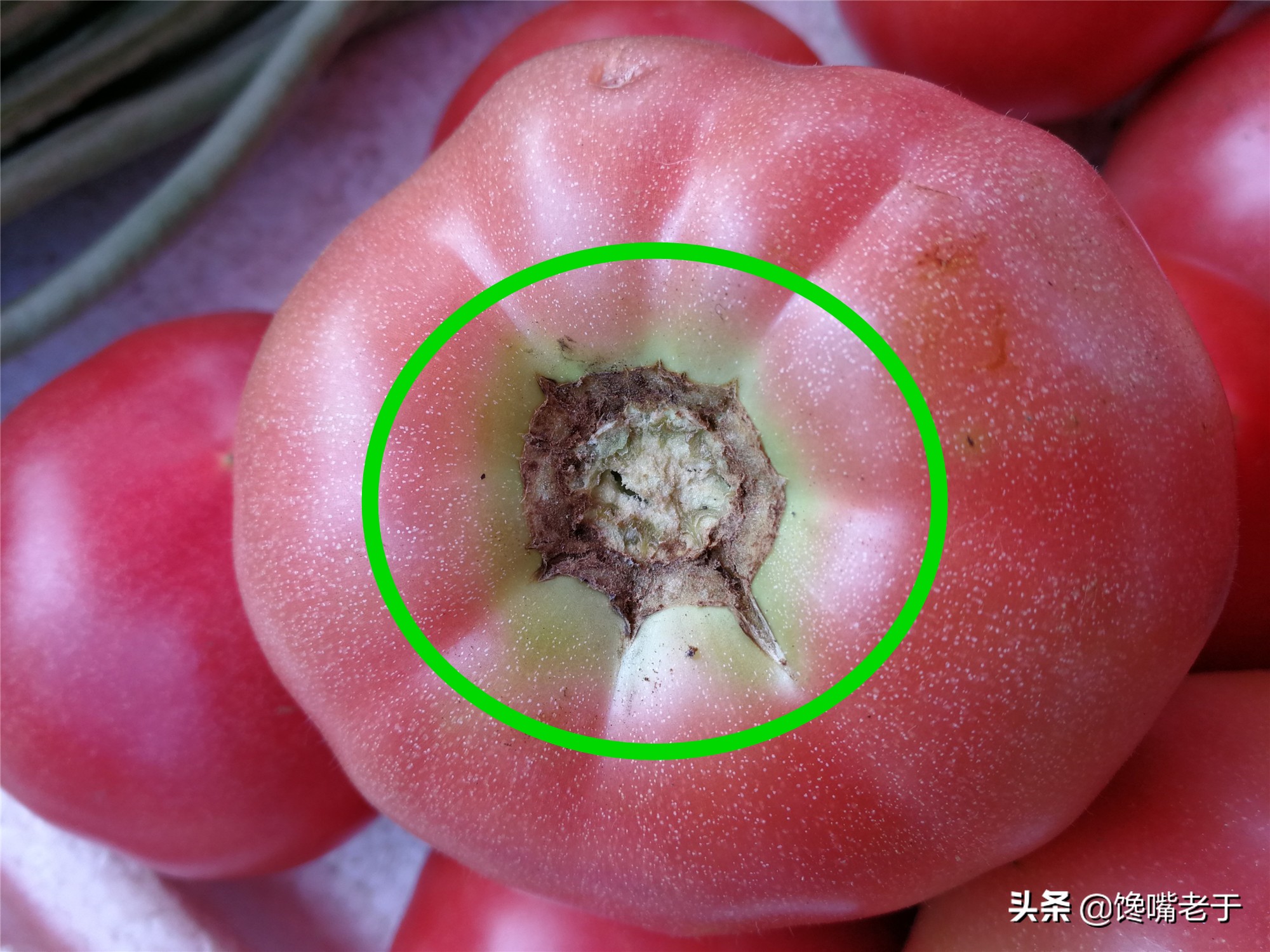 怎么挑西红柿又甜又不酸,现在的西红柿都那么硬