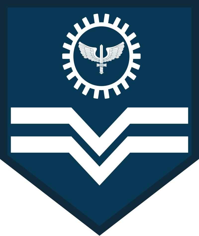 巴西军队标志,巴西海军军衔