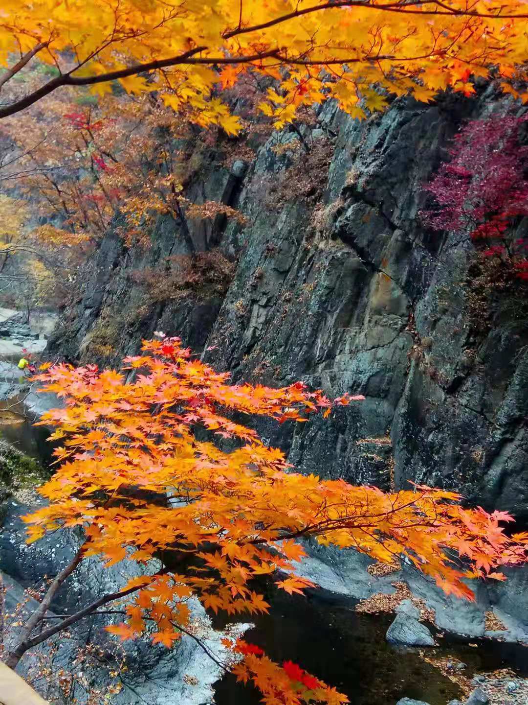 坚持的幸运,坚持奋斗幸福永远笑在最后