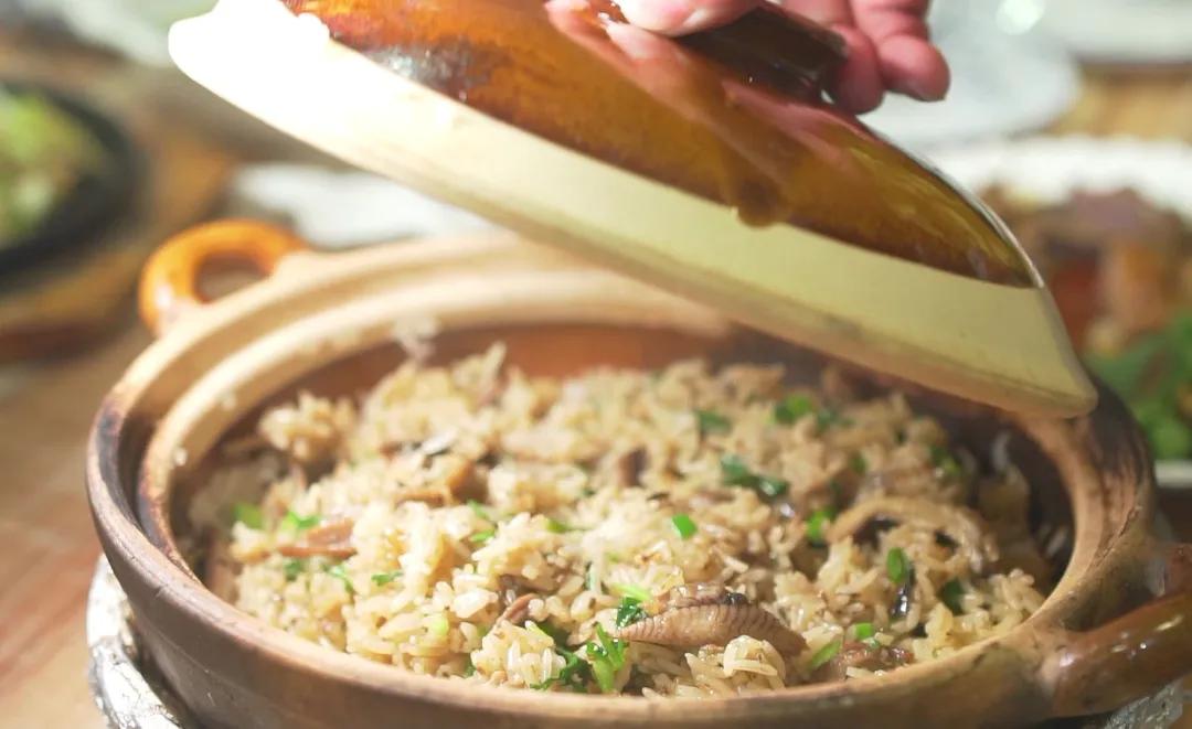 2022年野生菌什么时候大量上市 (山里的野菌样品及价格)