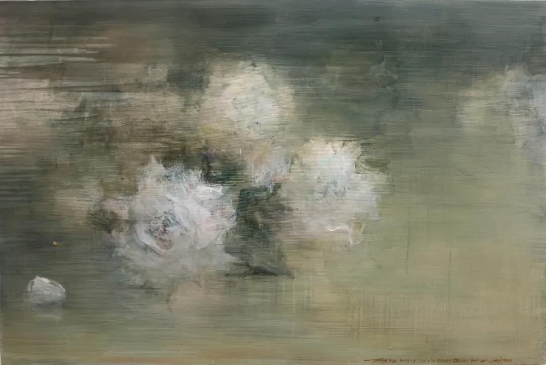 未解之谜大揭秘,未解之谜解说