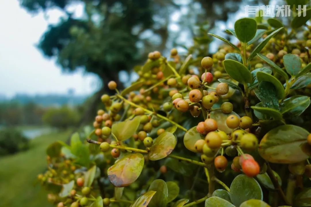 郑州国庆附近免费的景点推荐,国庆假期郑州免费景点