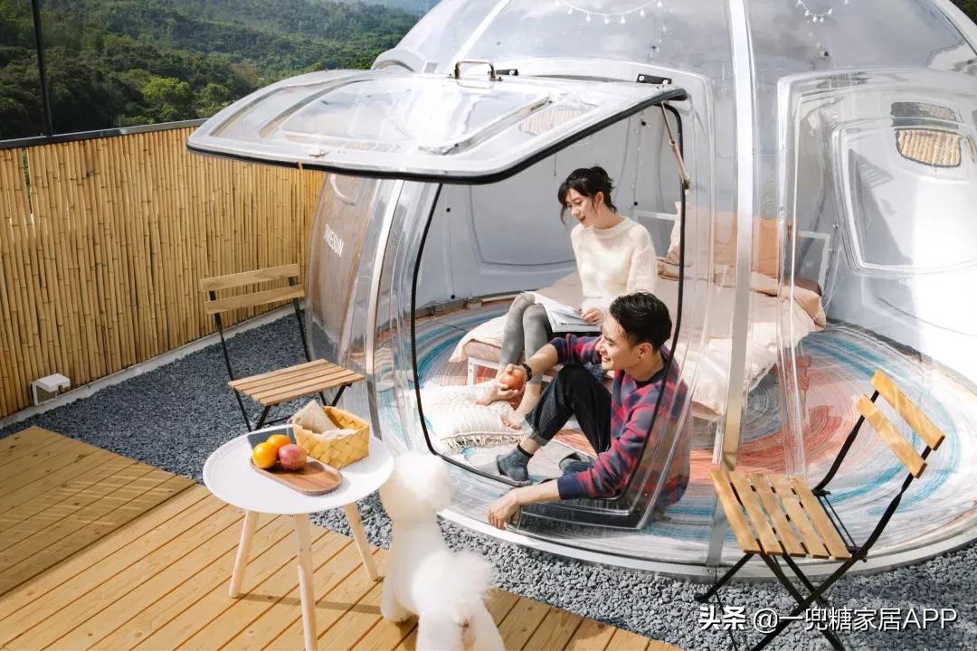 绉嶈崏鐢熸椿鏂瑰紡,绉嶈崏缁囧竷