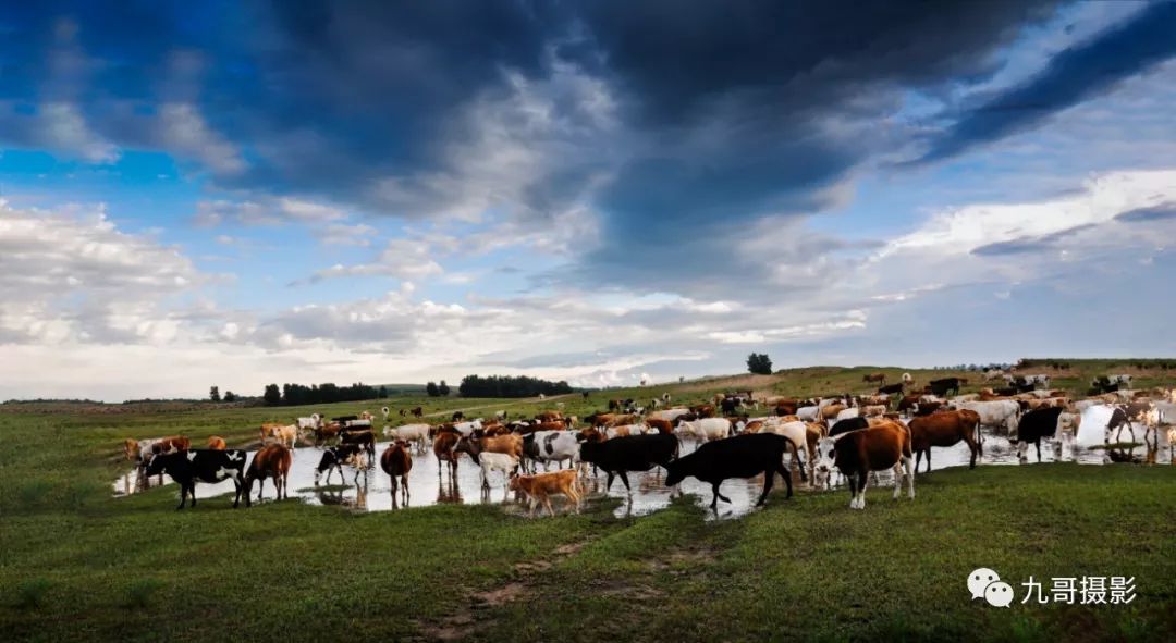 坝上草原天路美景,大美坝上风光系列之一
