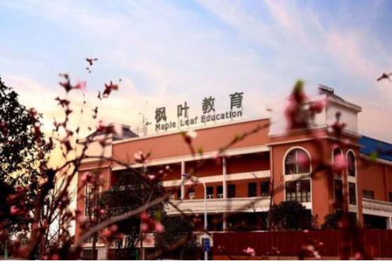 武汉贵族私立小学,武汉的贵族小学