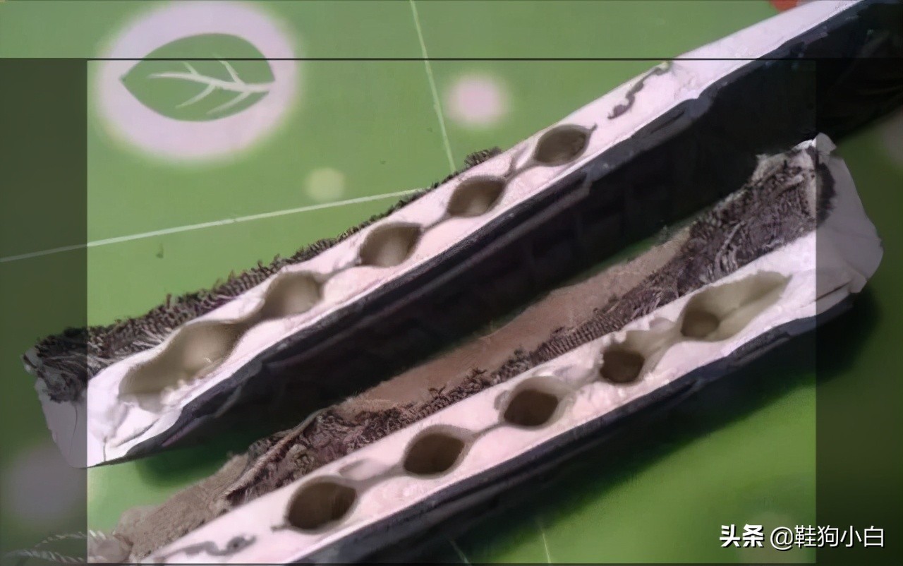 科普向未来知识内容,科普向未来的教学