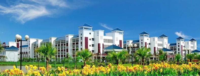 东莞市光正实验学校学生日常,东莞市光正实验学校以梦为马