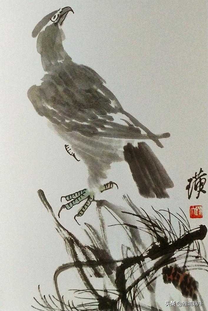 一学就会的禽鸟画法书,禽鸟的画法大全图解