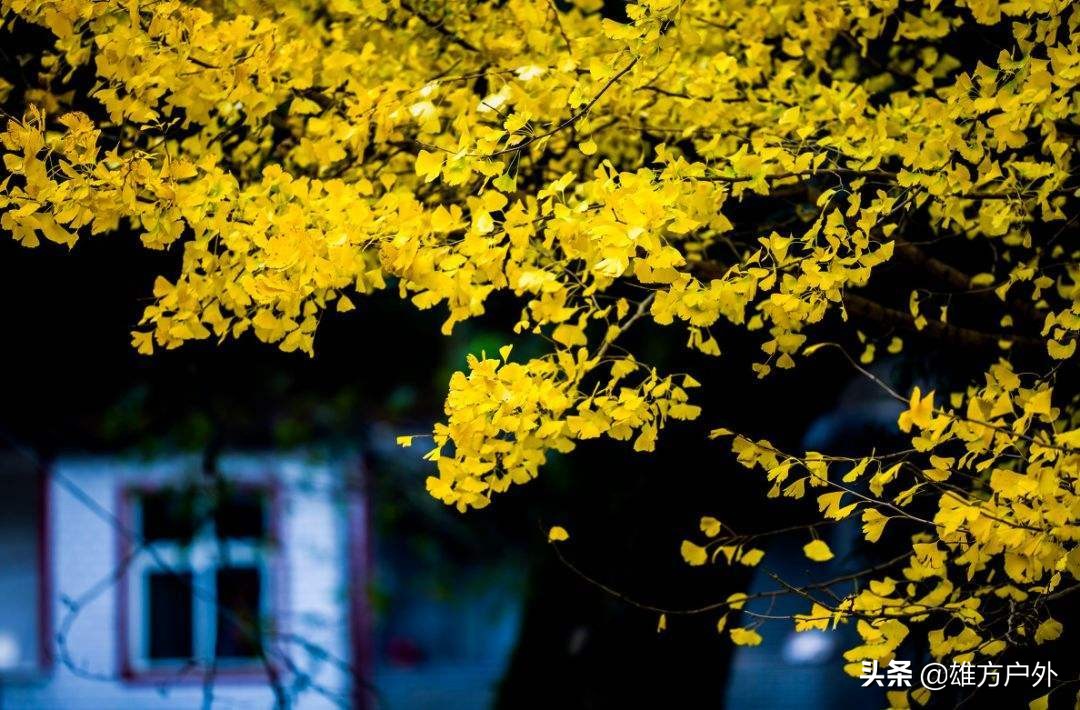 漓江兴坪古镇美景,兴坪古镇漓江游