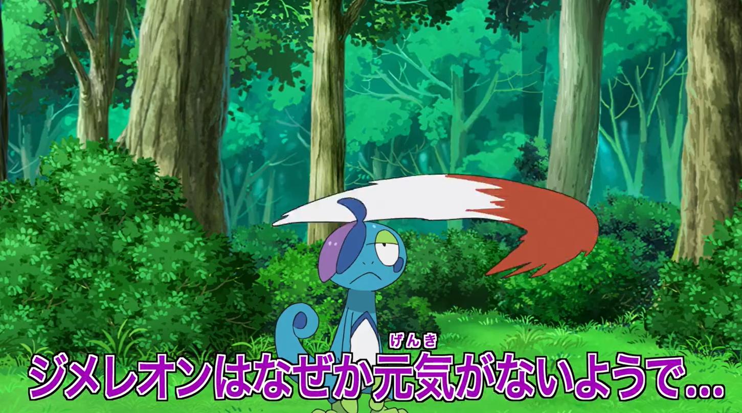 宝可梦旅途52集中文,宝可梦旅途泪眼蜥进化