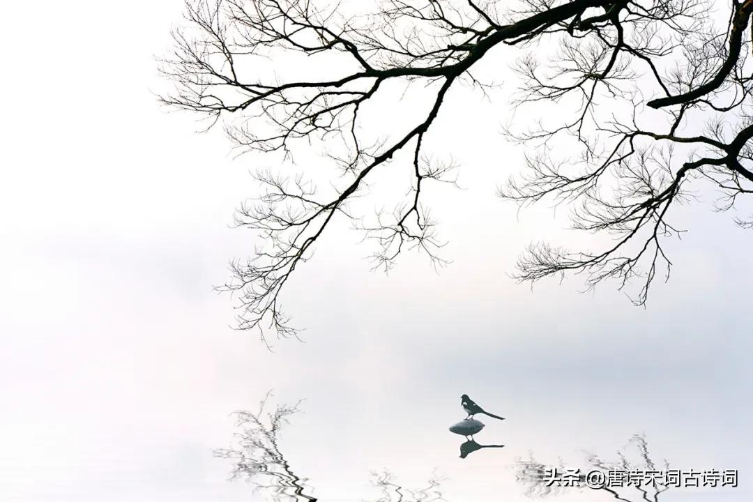 如何让生活变得有仪式感,生活的仪式感有哪些方式