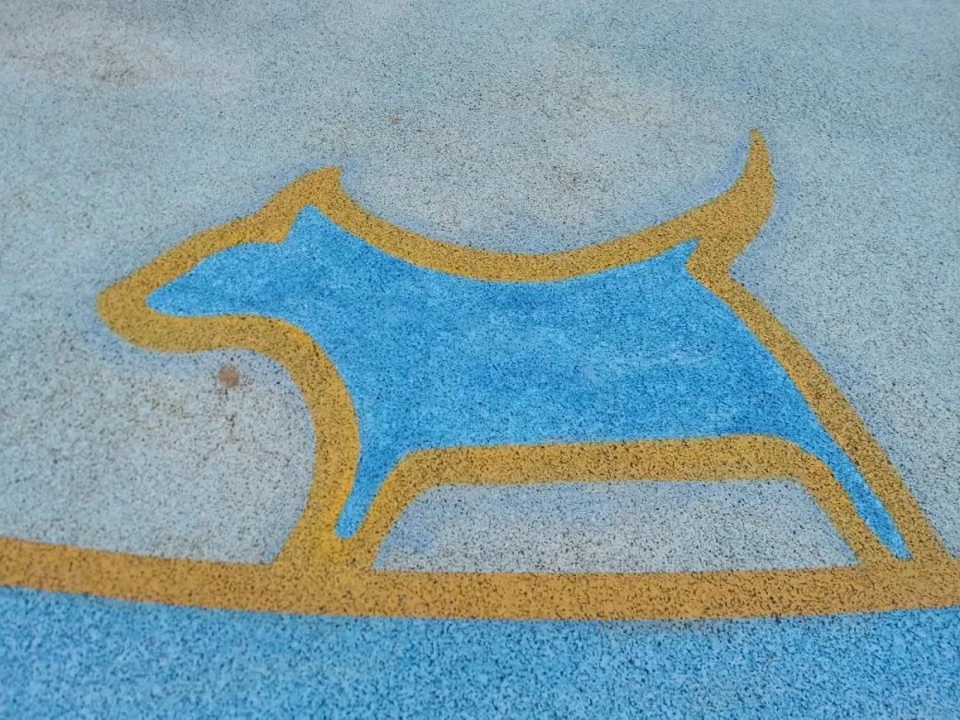 突然爆红的网红桥,双流万安的网红桥