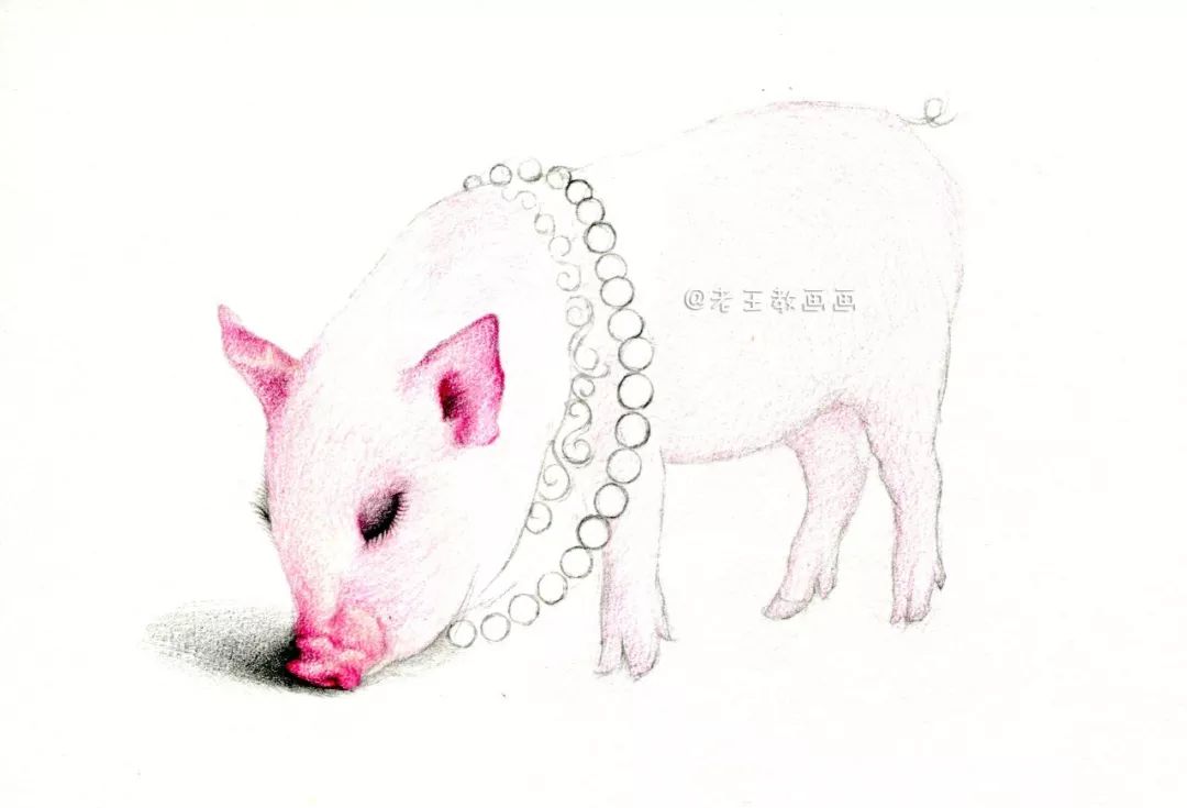 猪年画猪,猪年怎么画