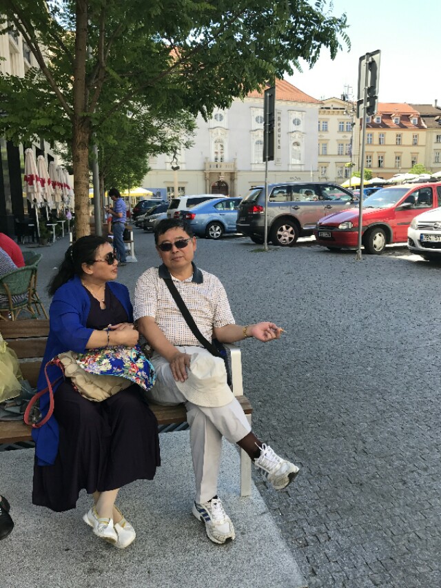 《婶子爱上了农村》