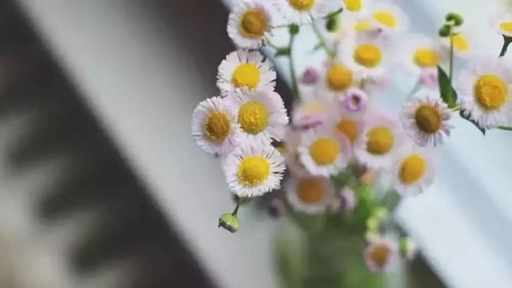 生活语录句句戳心文案,生活感悟情感美文经典语录