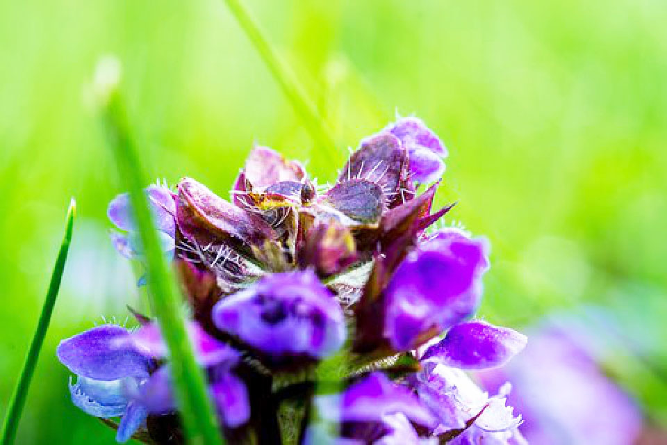 写进心坎的说说短句句句穿透人心,触及心灵的经典说说