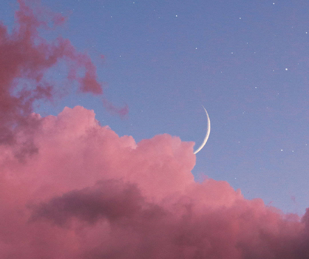 星座配对狮子座和什么座最配,星座配对狮子座和处女座合适吗