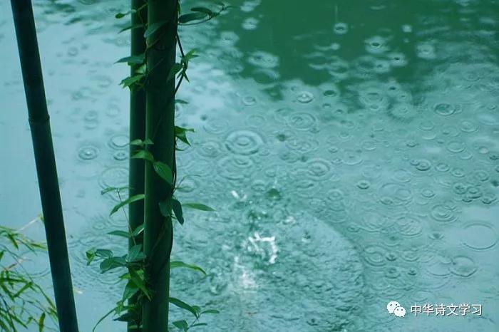 十首经典咏物诗,十首咏物诗并简单赏析