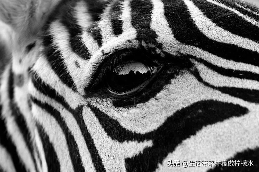 最震撼的34张照片美遍朋友圈,500张最美照片