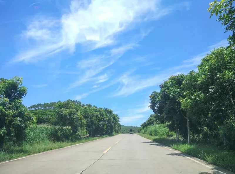 鐏北宀涙毚椋庨洦瑙嗛,鐏北宀涙毚椋庨洦