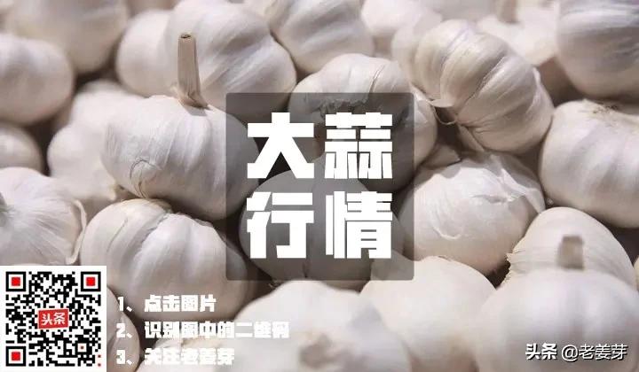 2020年5月6日全国各产区大蒜行情概述