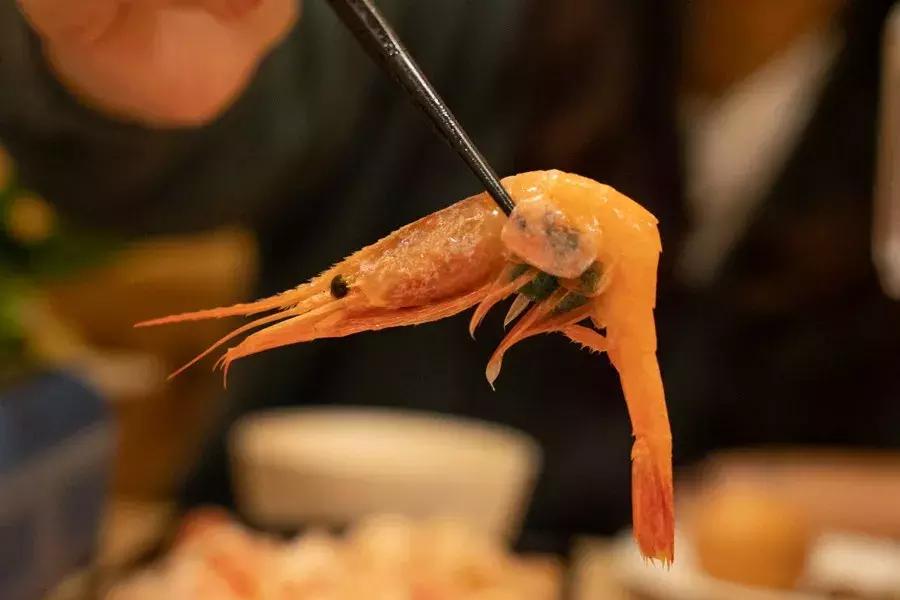 上海寿喜锅自助哪家强?(下)