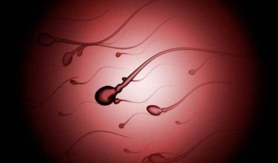 没受孕的小蝌蚪去哪了,没有受孕的小蝌蚪去哪了