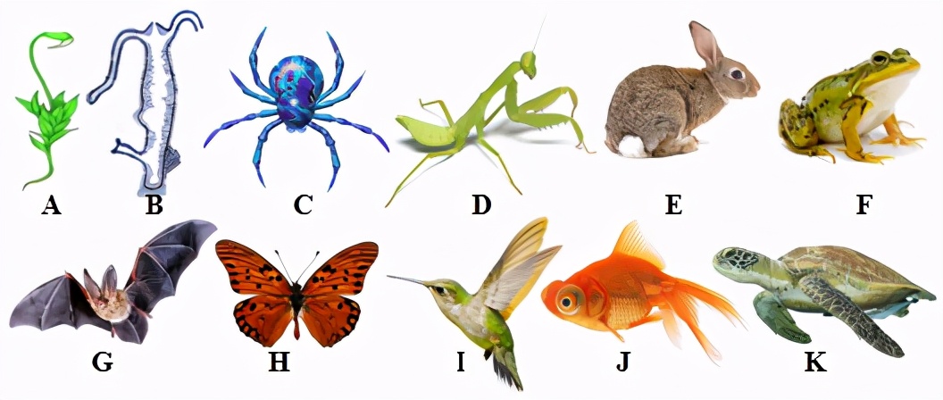 临沂2022生物会考答案,罗庄区生物一模试卷