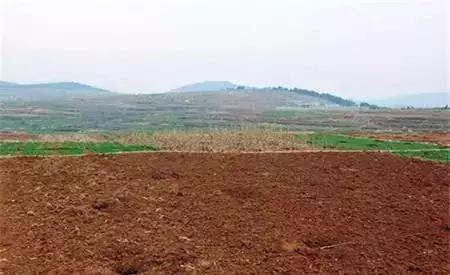 农田一亩是多大,农村农田一亩等于多少平方米