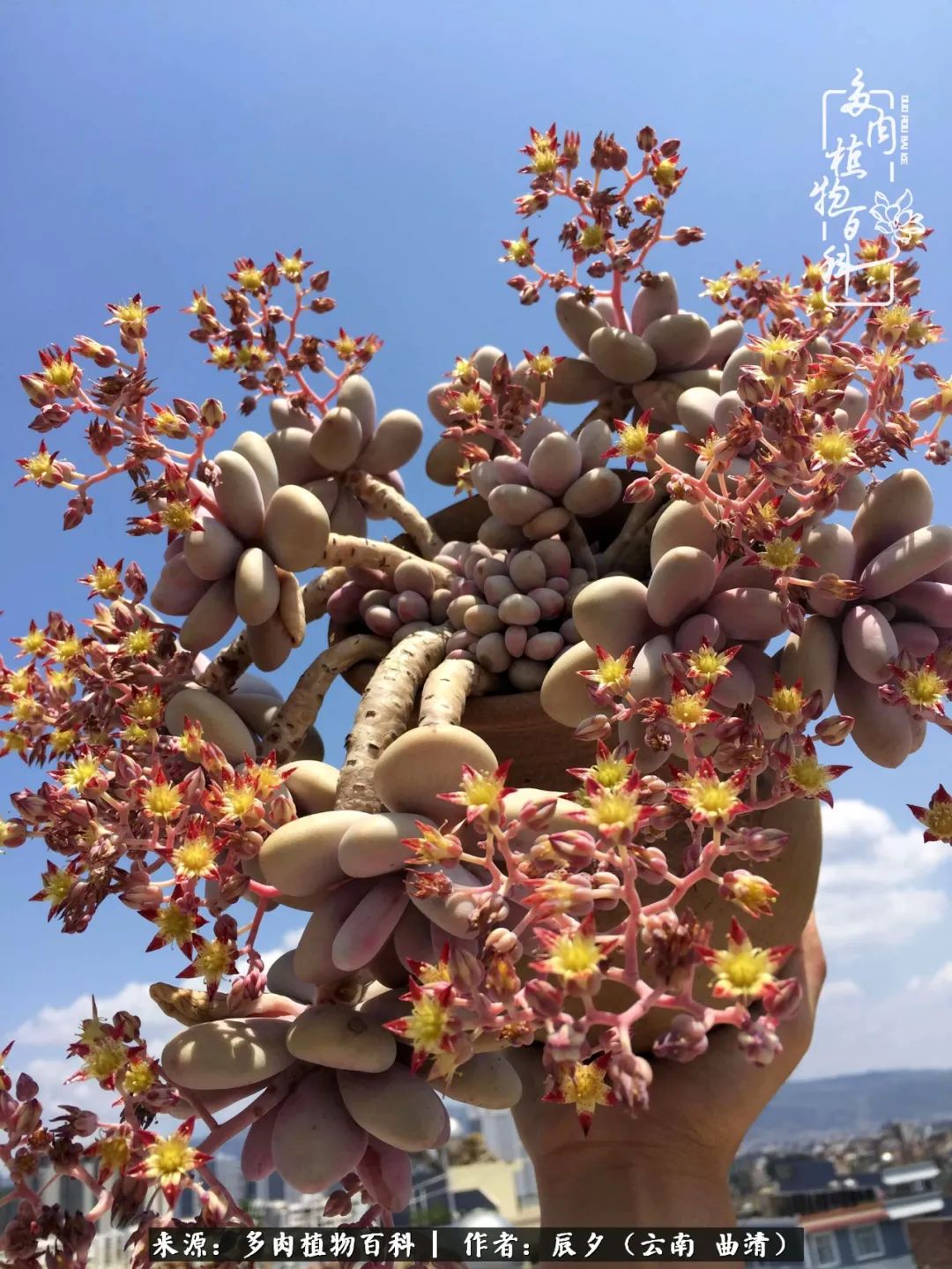 缂辩换鏃栨棊钁宠暏鐢熼,缂辩换鏃栨棊钁宠暏鐢熼鍑哄