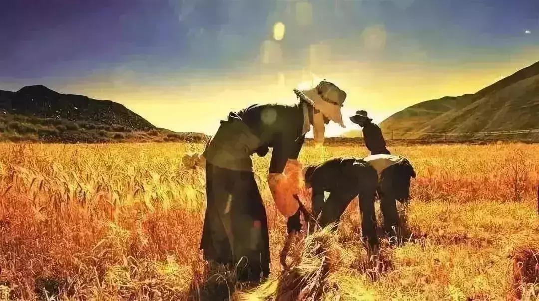 发展中的现代农业有什么商机,品牌农业引领农业高质量发展