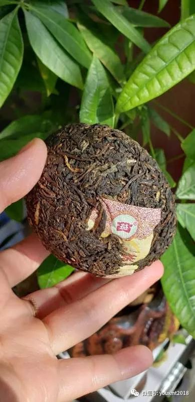 v93澶х泭娌辫尪閴村埆,v93娌辫尪澶х泭鏁寸