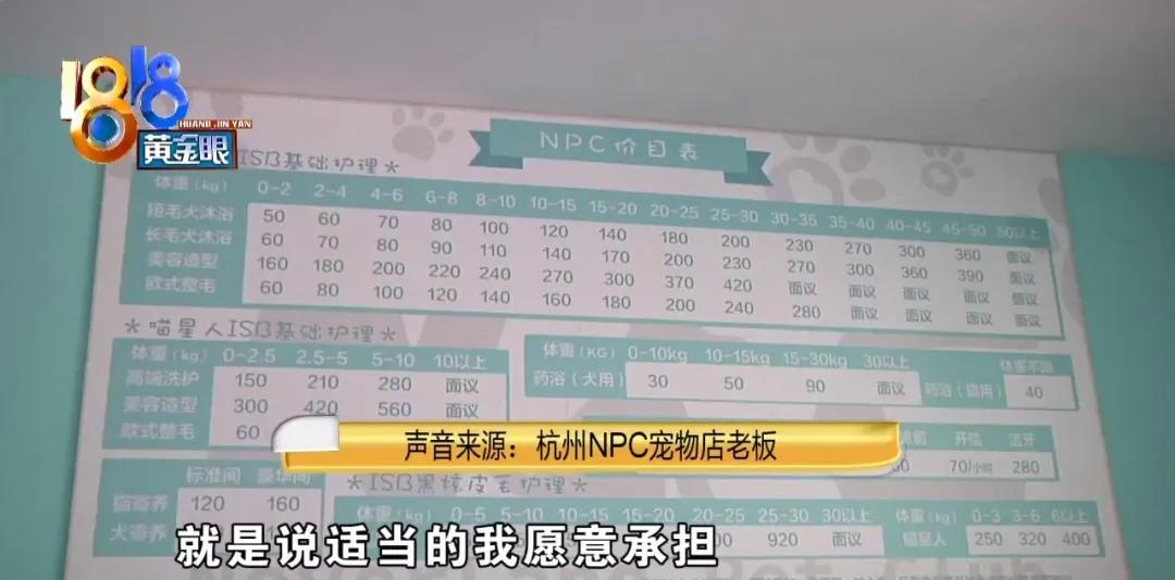 柯基狗毛被剃光,柯基被剃光头的视频