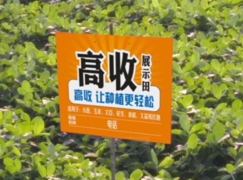 花生黑斑最佳治疗方法,花生黑斑病