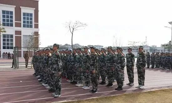 私立华联学院哪个专业好,高职高考学习资料推荐