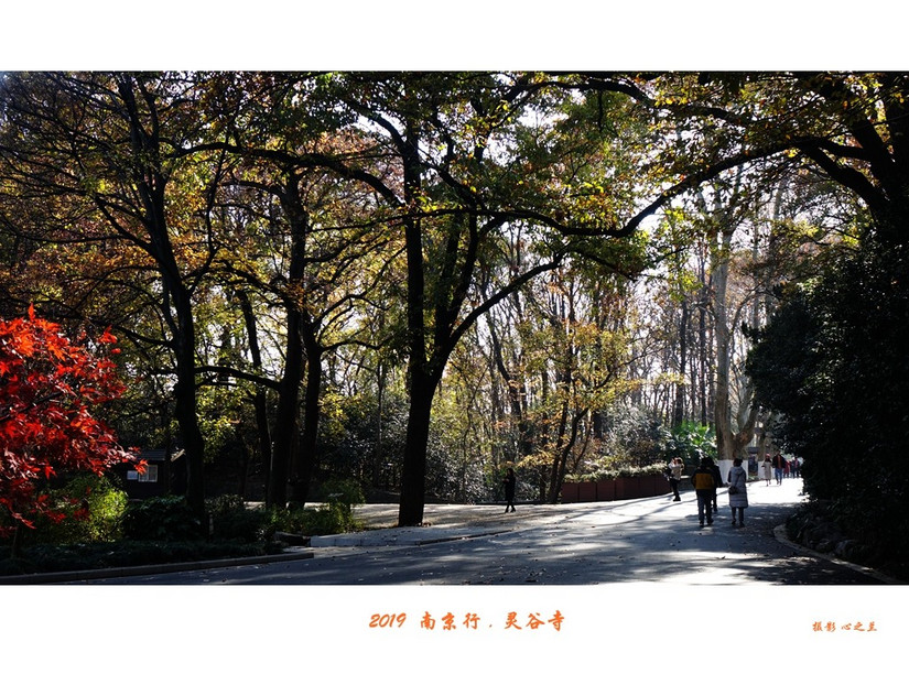 六朝金粉和金陵雨花台,六朝金粉地最忆是金陵啥意思