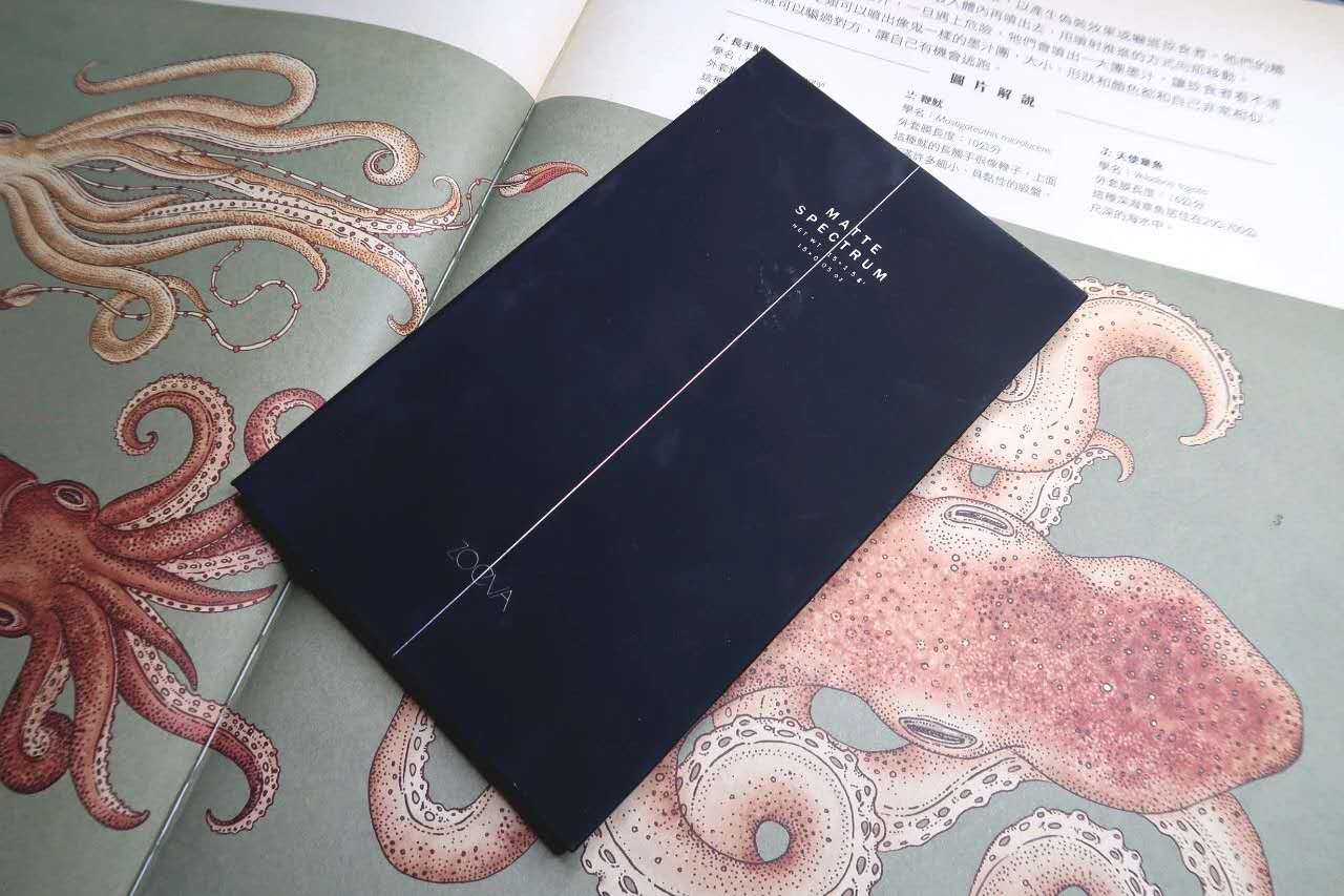 全能眼影盘推荐,tf眼影盘04