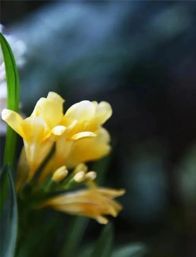 静是一种力量一种福气,西双版纳这边旅游