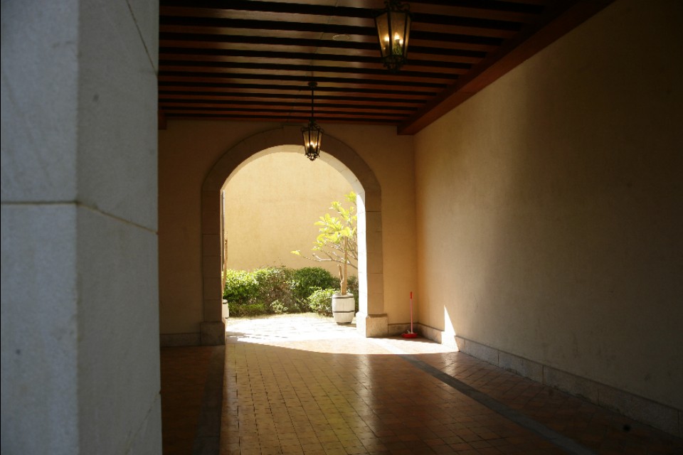 新手入门单反相机推荐10000元左右,摄影小白相机推荐4000价位微单