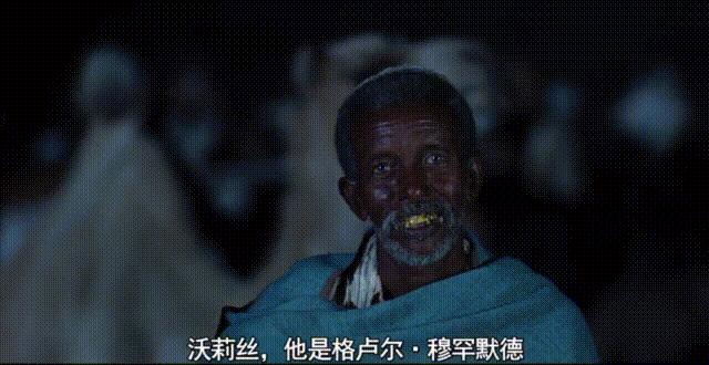揭露代孕黑暗的电影,揭露代孕黑产电影