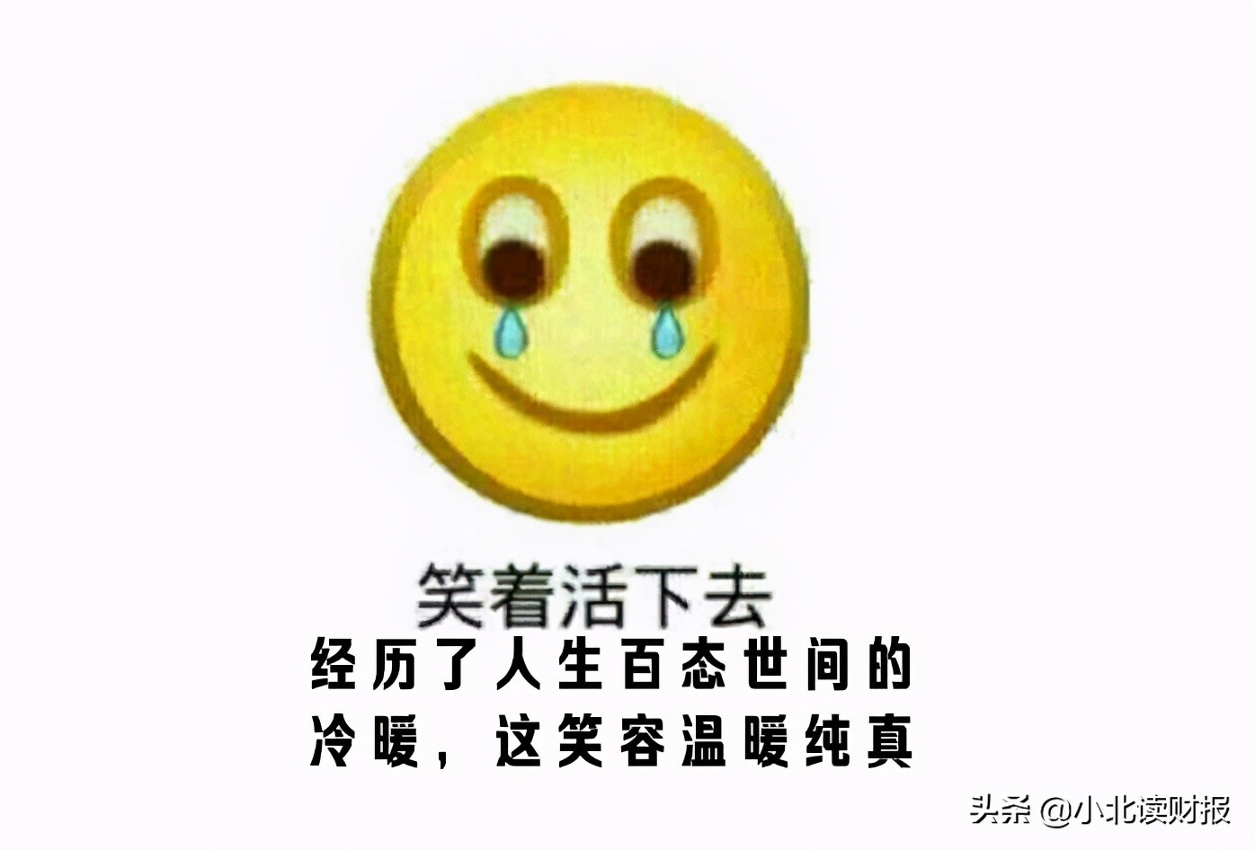 买的股票又跌了,买的股票为什么会跌